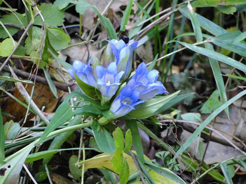 f:id:noyama_ko:20191115180551j:plain f:id:noyama_ko:20191115180551j:plain