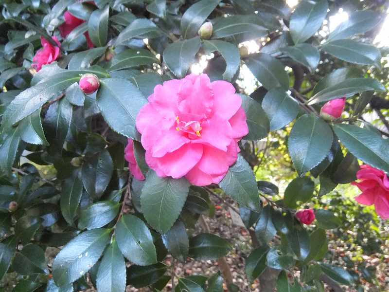 f:id:noyama_ko:20191120203519j:plain f:id:noyama_ko:20191120203519j:plain