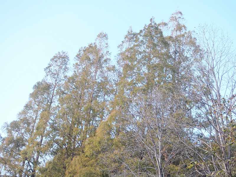 f:id:noyama_ko:20191120204024j:plain f:id:noyama_ko:20191120204024j:plain