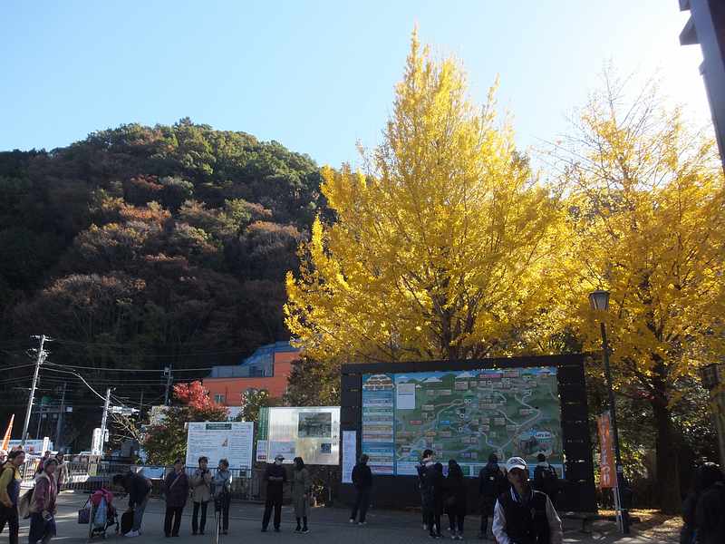f:id:noyama_ko:20191121182724j:plain f:id:noyama_ko:20191121182724j:plain