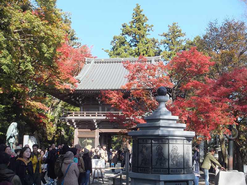 f:id:noyama_ko:20191121182753j:plain f:id:noyama_ko:20191121182753j:plain