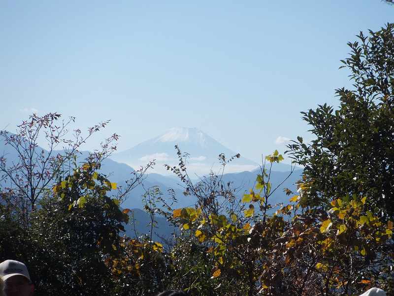 f:id:noyama_ko:20191121183016j:plain f:id:noyama_ko:20191121183016j:plain