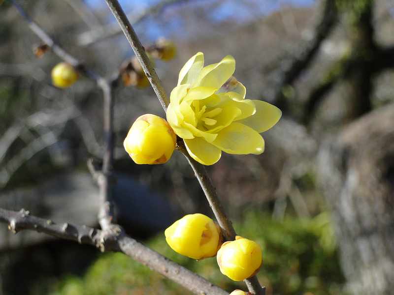 f:id:noyama_ko:20200110213312j:plain f:id:noyama_ko:20200110213312j:plain