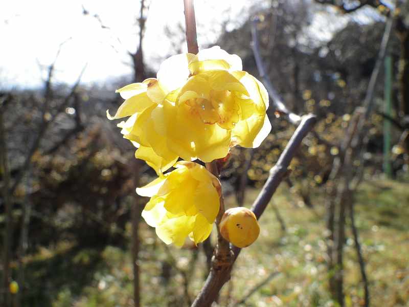 f:id:noyama_ko:20200110213428j:plain f:id:noyama_ko:20200110213428j:plain