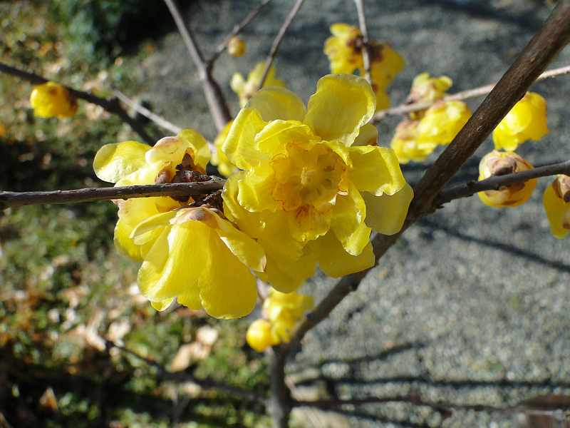 f:id:noyama_ko:20200110213443j:plain f:id:noyama_ko:20200110213443j:plain