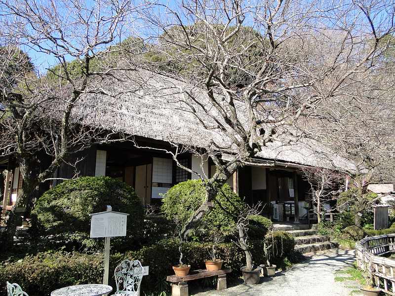 f:id:noyama_ko:20200110213908j:plain f:id:noyama_ko:20200110213908j:plain