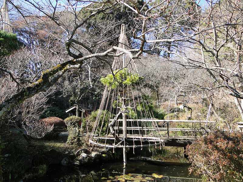 f:id:noyama_ko:20200110213922j:plain f:id:noyama_ko:20200110213922j:plain