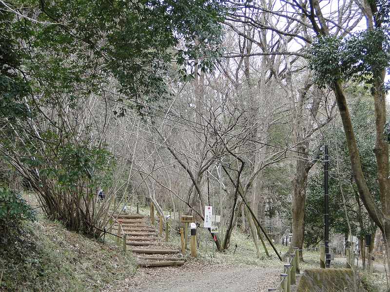 f:id:noyama_ko:20200215143158j:plain f:id:noyama_ko:20200215143158j:plain