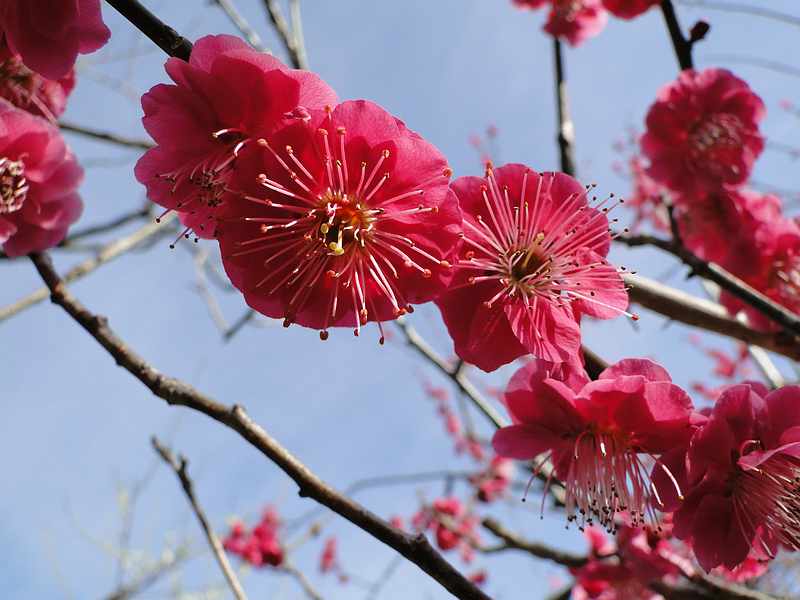f:id:noyama_ko:20200220101621j:plain f:id:noyama_ko:20200220101621j:plain