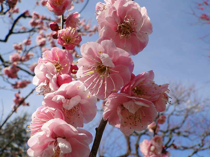 f:id:noyama_ko:20200220101812j:plain f:id:noyama_ko:20200220101812j:plain