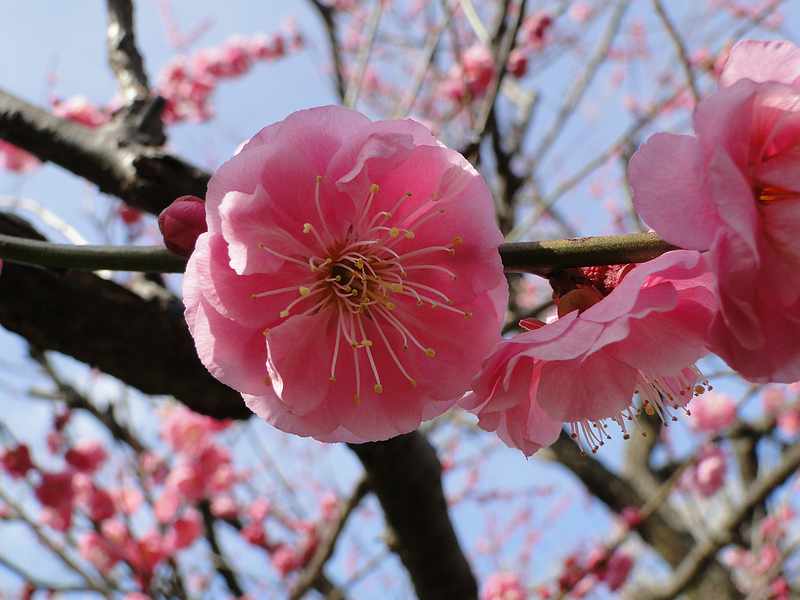 f:id:noyama_ko:20200220101914j:plain f:id:noyama_ko:20200220101914j:plain