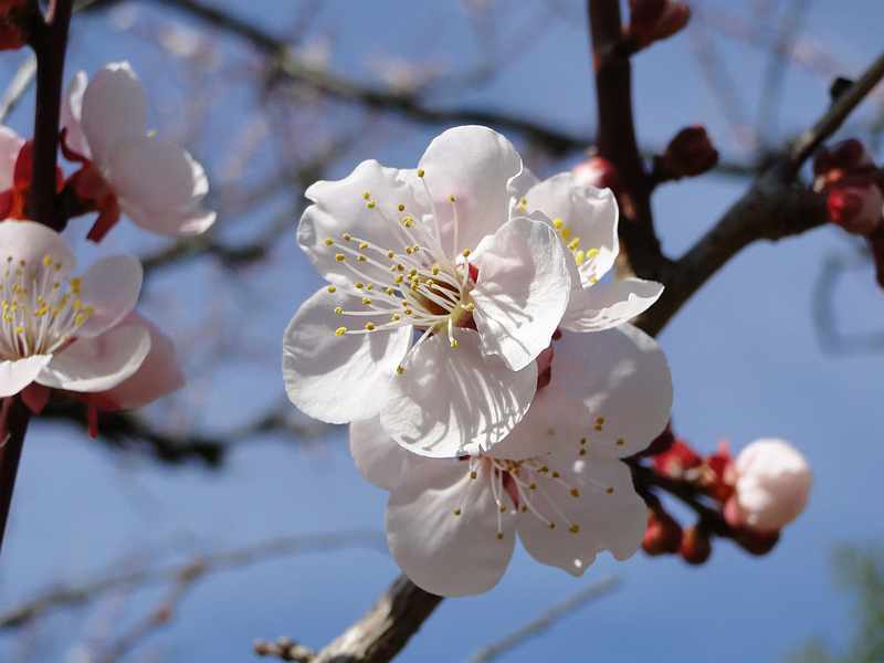 f:id:noyama_ko:20200220102147j:plain f:id:noyama_ko:20200220102147j:plain