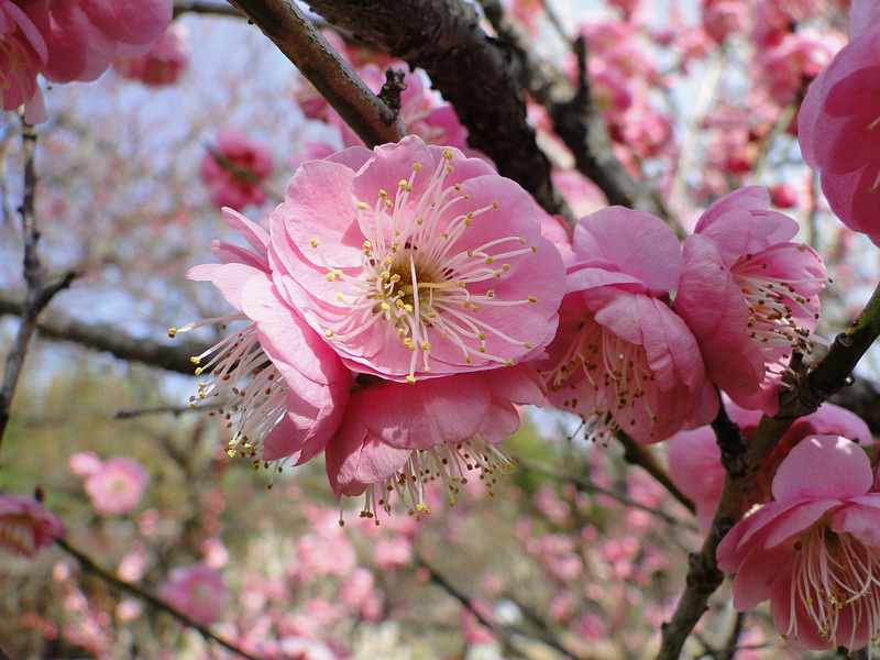 f:id:noyama_ko:20200220102159j:plain f:id:noyama_ko:20200220102159j:plain