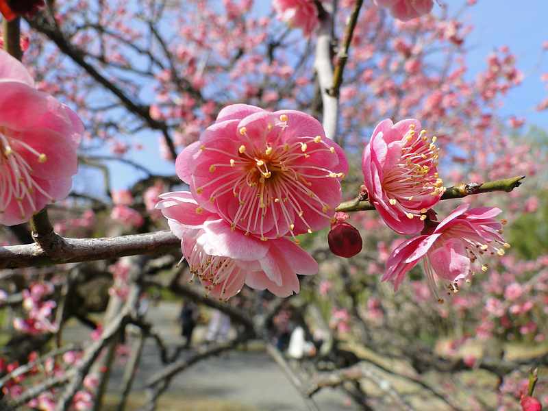 f:id:noyama_ko:20200220102433j:plain f:id:noyama_ko:20200220102433j:plain