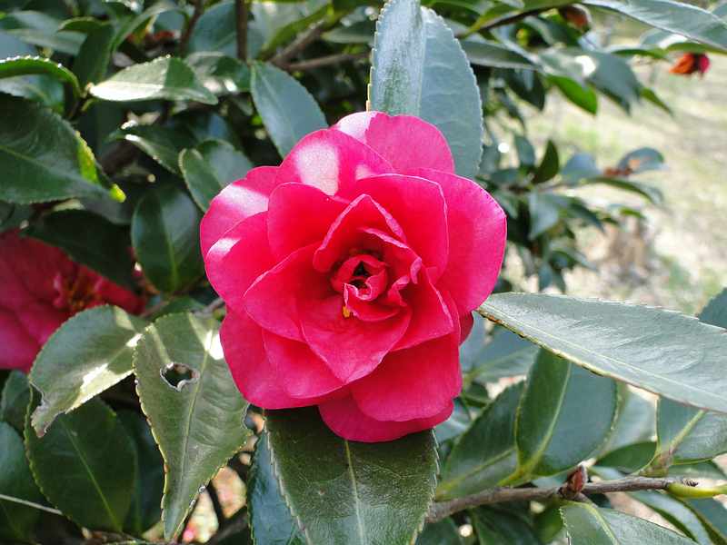 f:id:noyama_ko:20200220103425j:plain f:id:noyama_ko:20200220103425j:plain
