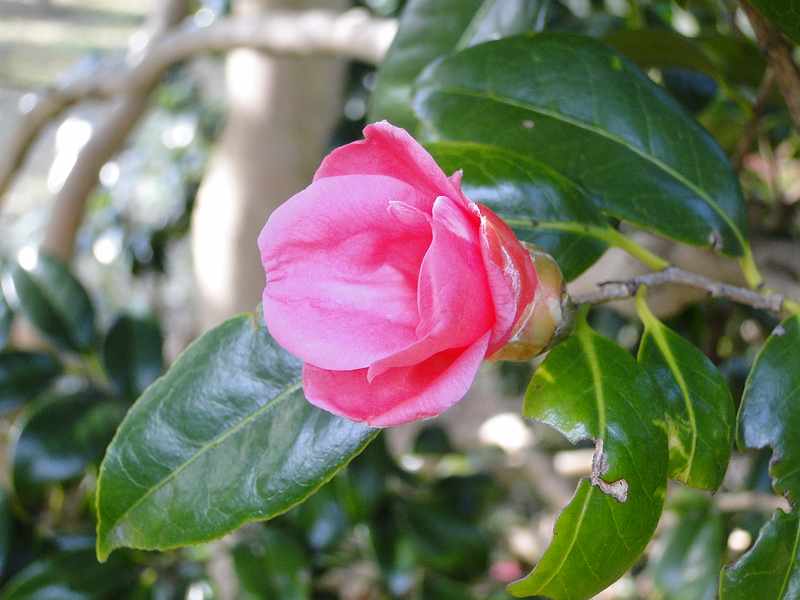 f:id:noyama_ko:20200220103816j:plain f:id:noyama_ko:20200220103816j:plain