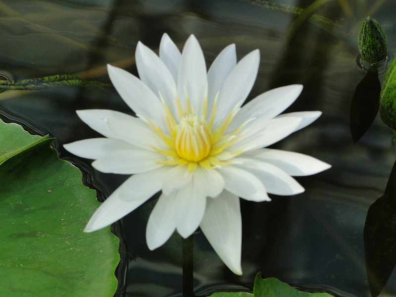 f:id:noyama_ko:20200220114027j:plain f:id:noyama_ko:20200220114027j:plain