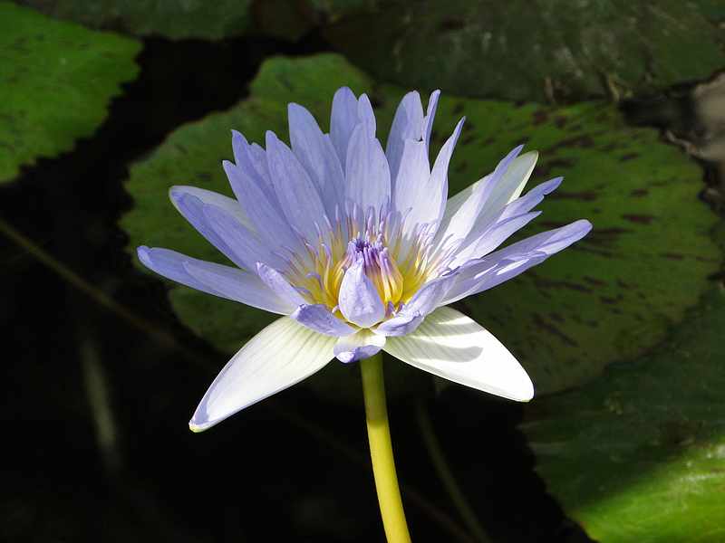 f:id:noyama_ko:20200220114040j:plain f:id:noyama_ko:20200220114040j:plain