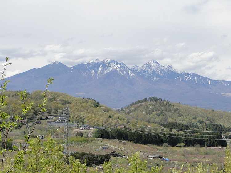 f:id:noyama_ko:20200423102742j:plain f:id:noyama_ko:20200423102742j:plain