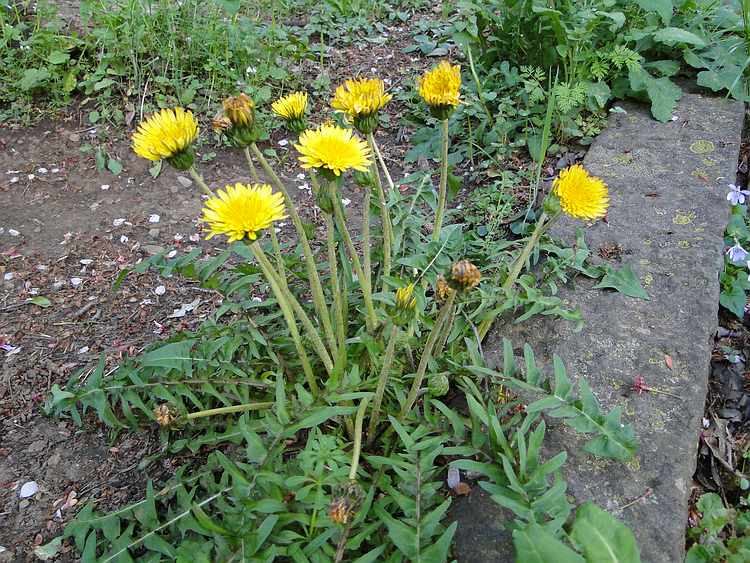 f:id:noyama_ko:20200423103033j:plain f:id:noyama_ko:20200423103033j:plain
