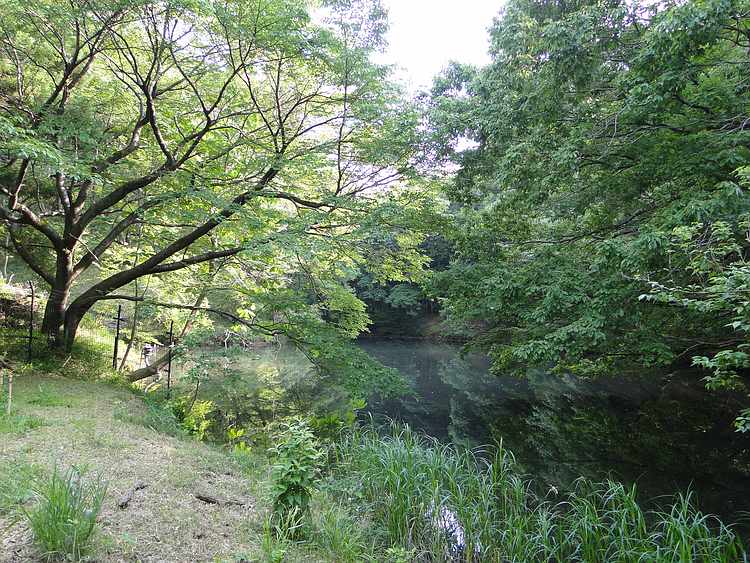 f:id:noyama_ko:20200527214056j:plain f:id:noyama_ko:20200527214056j:plain