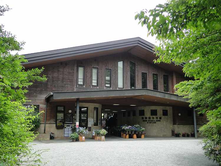f:id:noyama_ko:20200625102131j:plain f:id:noyama_ko:20200625102131j:plain