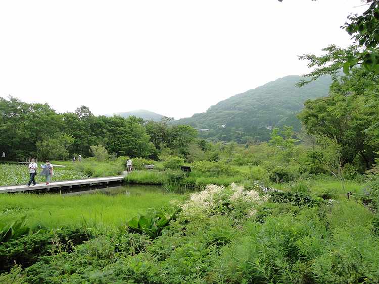 f:id:noyama_ko:20200625103826j:plain f:id:noyama_ko:20200625103826j:plain