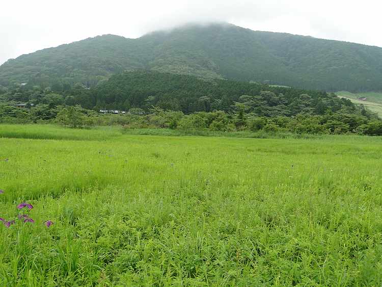 f:id:noyama_ko:20200625103844j:plain f:id:noyama_ko:20200625103844j:plain