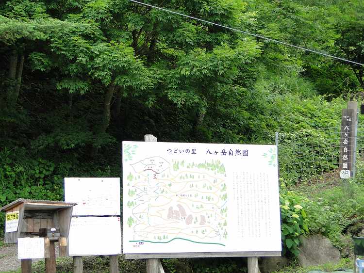f:id:noyama_ko:20200704084002j:plain f:id:noyama_ko:20200704084002j:plain