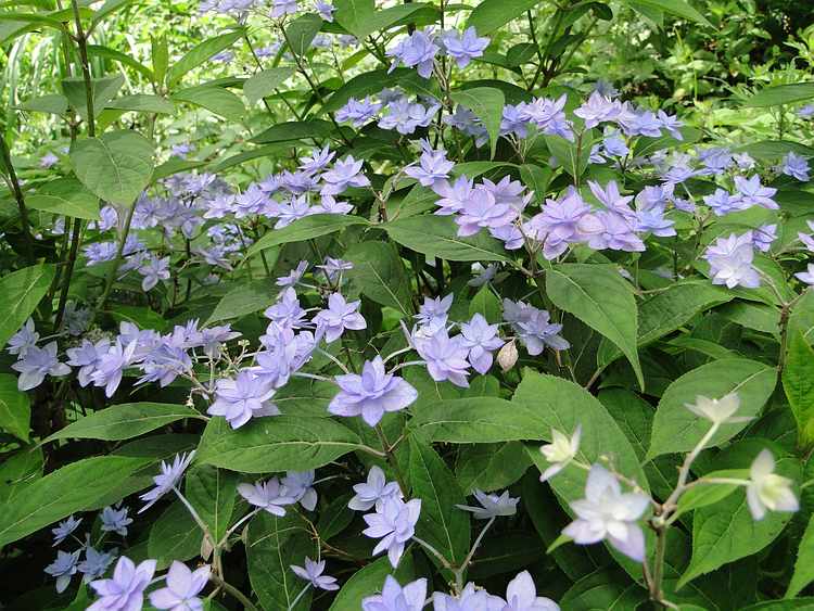 f:id:noyama_ko:20200704084818j:plain f:id:noyama_ko:20200704084818j:plain