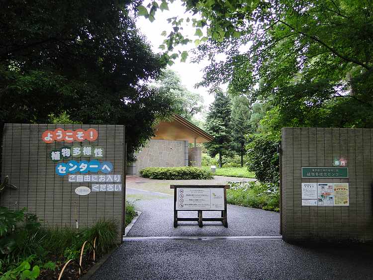 f:id:noyama_ko:20200715223649j:plain f:id:noyama_ko:20200715223649j:plain