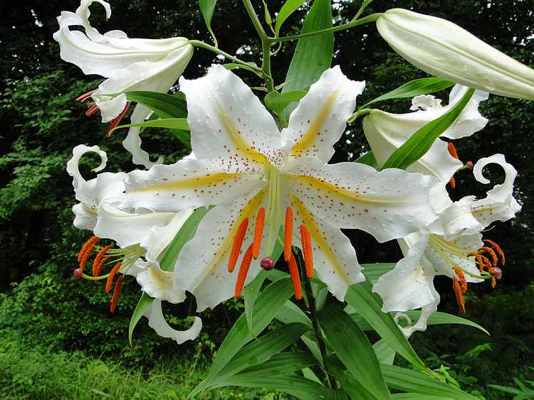 f:id:noyama_ko:20200715224919j:plain f:id:noyama_ko:20200715224919j:plain
