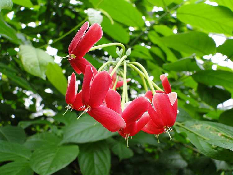 f:id:noyama_ko:20200715231339j:plain f:id:noyama_ko:20200715231339j:plain