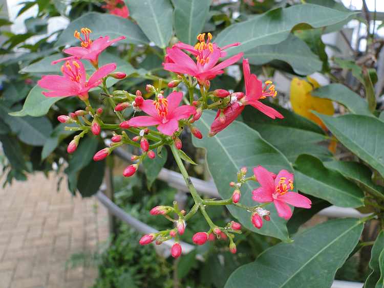 f:id:noyama_ko:20200715231426j:plain f:id:noyama_ko:20200715231426j:plain