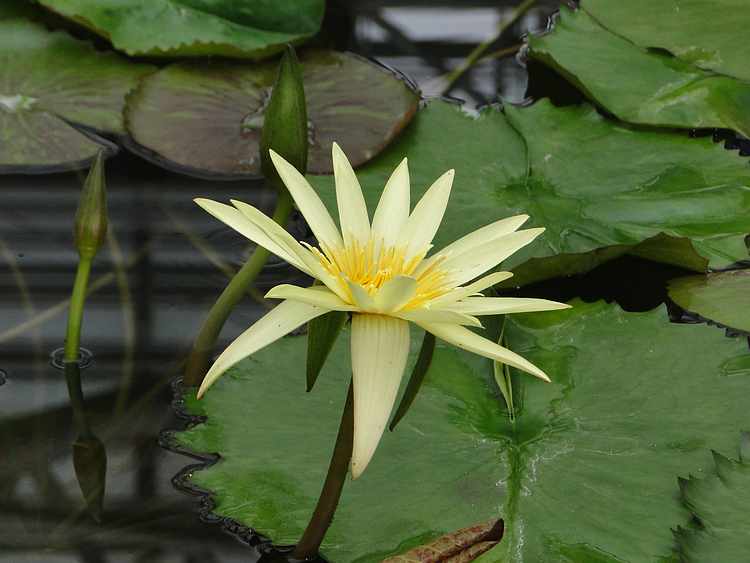 f:id:noyama_ko:20200715231902j:plain f:id:noyama_ko:20200715231902j:plain