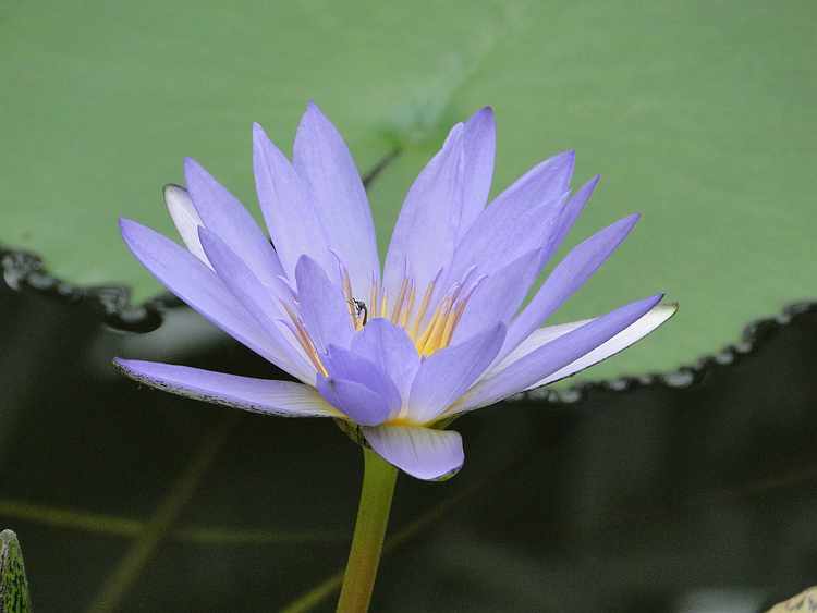 f:id:noyama_ko:20200715231918j:plain f:id:noyama_ko:20200715231918j:plain