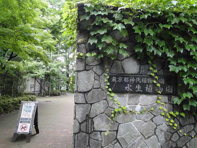 f:id:noyama_ko:20200716183424j:plain f:id:noyama_ko:20200716183424j:plain