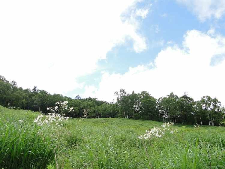 f:id:noyama_ko:20200722082554j:plain f:id:noyama_ko:20200722082554j:plain