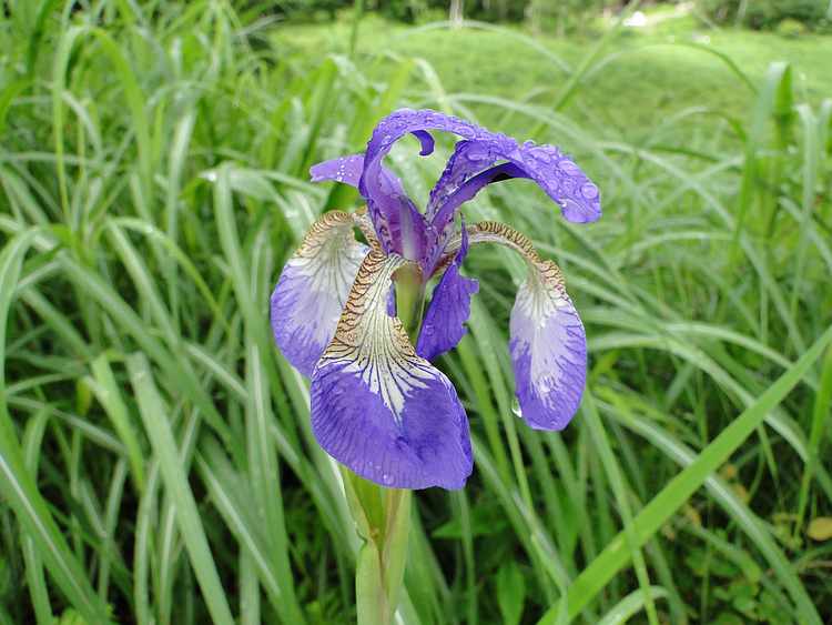 f:id:noyama_ko:20200722082817j:plain f:id:noyama_ko:20200722082817j:plain