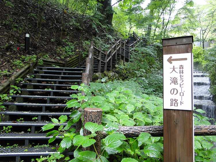 f:id:noyama_ko:20200730191633j:plain f:id:noyama_ko:20200730191633j:plain