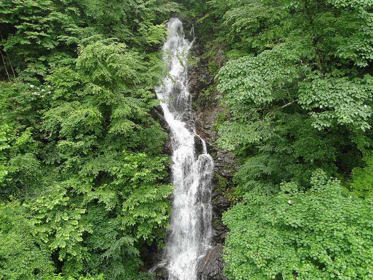 f:id:noyama_ko:20200730195349j:plain f:id:noyama_ko:20200730195349j:plain
