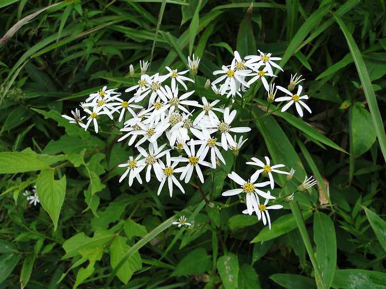 f:id:noyama_ko:20200827134746j:plain f:id:noyama_ko:20200827134746j:plain