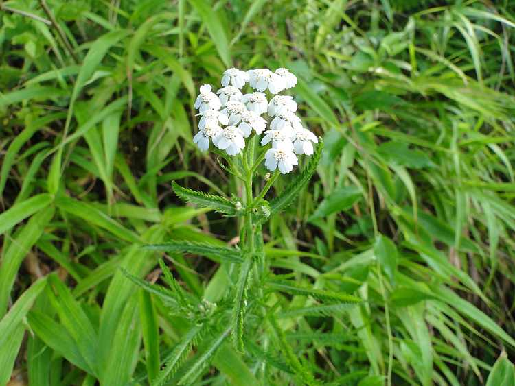 f:id:noyama_ko:20200827134758j:plain f:id:noyama_ko:20200827134758j:plain