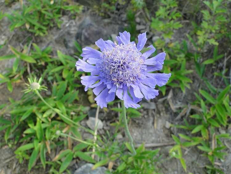 f:id:noyama_ko:20200827134956j:plain f:id:noyama_ko:20200827134956j:plain