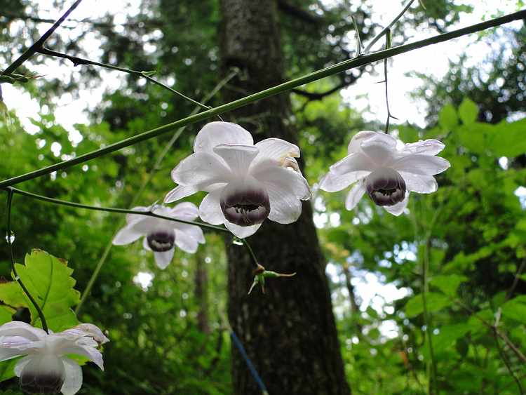 f:id:noyama_ko:20200917153822j:plain f:id:noyama_ko:20200917153822j:plain