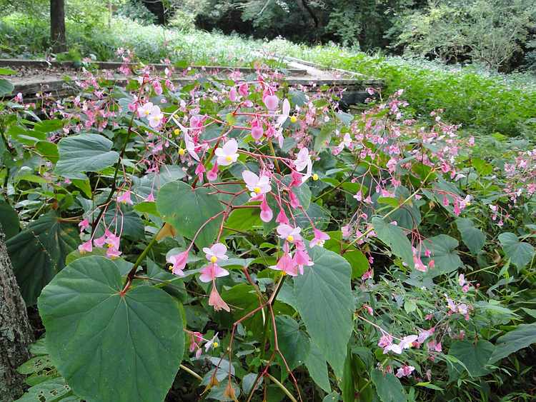 f:id:noyama_ko:20200921140557j:plain f:id:noyama_ko:20200921140557j:plain