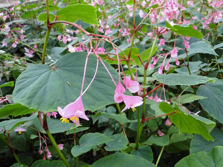 f:id:noyama_ko:20200921140620j:plain f:id:noyama_ko:20200921140620j:plain