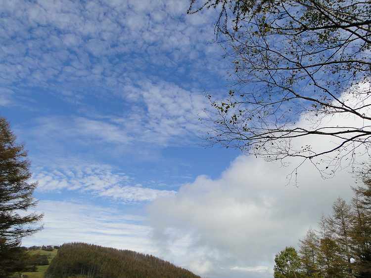 f:id:noyama_ko:20201011162533j:plain f:id:noyama_ko:20201011162533j:plain