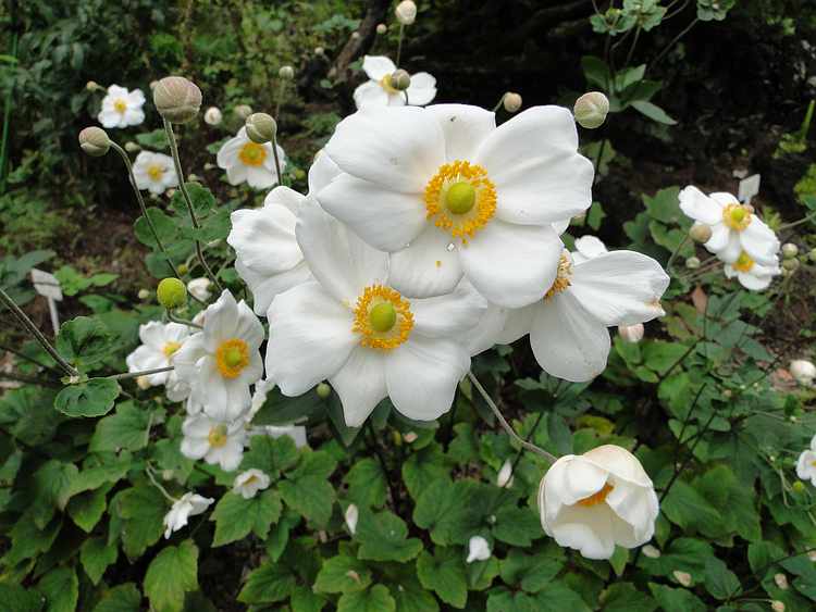 f:id:noyama_ko:20201018193144j:plain f:id:noyama_ko:20201018193144j:plain