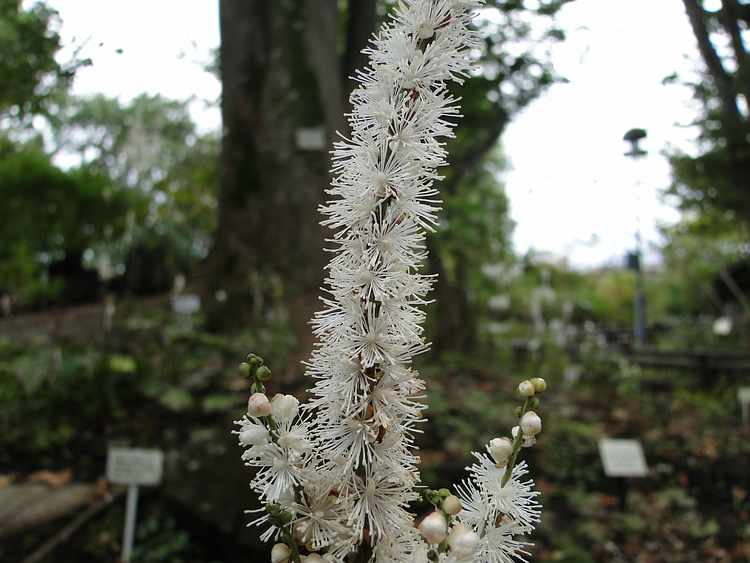 f:id:noyama_ko:20201018201001j:plain f:id:noyama_ko:20201018201001j:plain